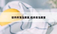 软件开发当黑客,程序员当黑客