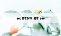 360黑客胖子,黑客 360