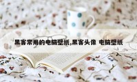 黑客常用的电脑壁纸,黑客头像 电脑壁纸