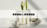 黑客编程vc,黑客编程器