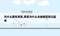 为什么要反黑客,黑客为什么会被国家抓记起来