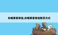 白帽黑客微信,白帽黑客微信联系方式