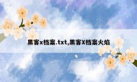 黑客x档案.txt,黑客X档案火焰