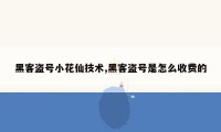 黑客盗号小花仙技术,黑客盗号是怎么收费的