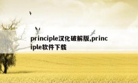 principle汉化破解版,principle软件下载