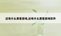 还有什么黑客游戏,还有什么黑客游戏软件