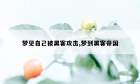 梦见自己被黑客攻击,梦到黑客帝国