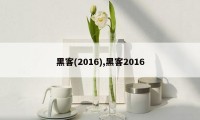 黑客(2016),黑客2016