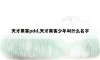 天才黑客pdd,天才黑客少年叫什么名字