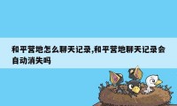 和平营地怎么聊天记录,和平营地聊天记录会自动消失吗