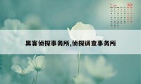 黑客侦探事务所,侦探调查事务所