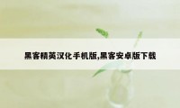 黑客精英汉化手机版,黑客安卓版下载