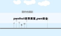 pwnfest世界黑客,pwn安全