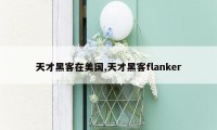 天才黑客在美国,天才黑客flanker