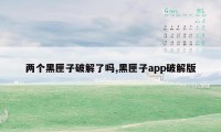 两个黑匣子破解了吗,黑匣子app破解版