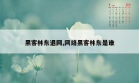 黑客林东退网,网络黑客林东是谁