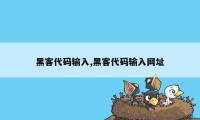 黑客代码输入,黑客代码输入网址