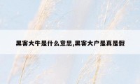 黑客大牛是什么意思,黑客大户是真是假