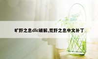 旷野之息dlc破解,荒野之息中文补丁