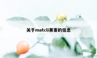 关于matcli黑客的信息