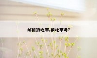 邮箱狼吃草,狼吃草吗?