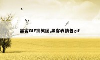 黑客GIF搞笑图,黑客表情包gif