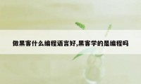 做黑客什么编程语言好,黑客学的是编程吗