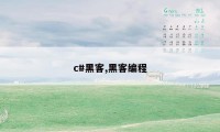 c#黑客,黑客编程