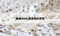 黑客wow,黑客我的世界