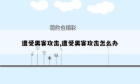 遭受黑客攻击,遭受黑客攻击怎么办