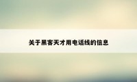 关于黑客天才用电话线的信息