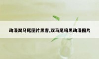 动漫双马尾图片黑客,双马尾暗黑动漫图片