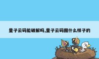 量子云码能破解吗,量子云码图什么样子的