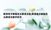 新浪电子邮箱怎么取消注册,新浪电子邮箱怎么取消注册手机号