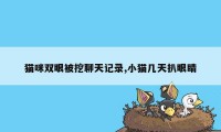 猫咪双眼被挖聊天记录,小猫几天扒眼睛