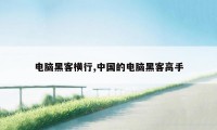 电脑黑客横行,中国的电脑黑客高手