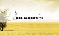 黑客niko,黑客昵称代号