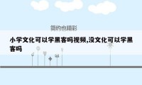 小学文化可以学黑客吗视频,没文化可以学黑客吗