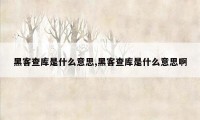 黑客查库是什么意思,黑客查库是什么意思啊