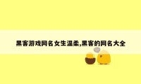 黑客游戏网名女生温柔,黑客的网名大全