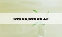 指尖是黑客,指尖是黑客 小说