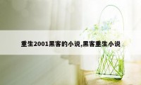 重生2001黑客的小说,黑客重生小说