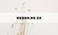 黑客是指神,黑客 意思