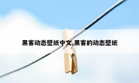 黑客动态壁纸中文,黑客的动态壁纸