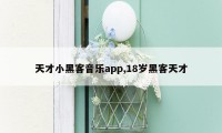 天才小黑客音乐app,18岁黑客天才