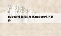 pubg游戏邮箱在哪里,pubg的电子邮件