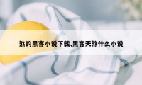 煞的黑客小说下载,黑客天煞什么小说