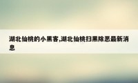 湖北仙桃的小黑客,湖北仙桃扫黑除恶最新消息