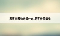 黑客帝国功夫是什么,黑客帝国是啥