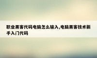 职业黑客代码电脑怎么输入,电脑黑客技术新手入门代码